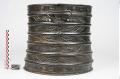 Foto von Bronzerippenciste (NHMW-PRAE-024511)